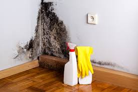 Best Mold Removal for HVAC Installations  in Golden, CO